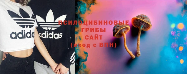 a pvp Белокуриха
