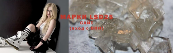 сатива Аркадак