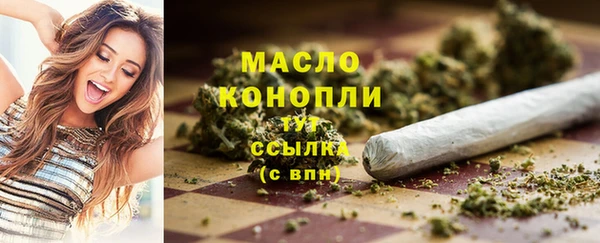 сатива Аркадак